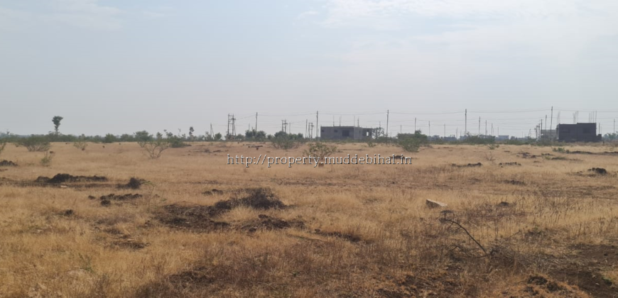 Residential plots for sale in VidyaNagar Muddebihal