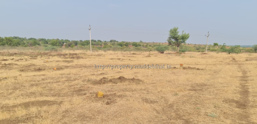 Residential plots for sale in VidyaNagar Muddebihal