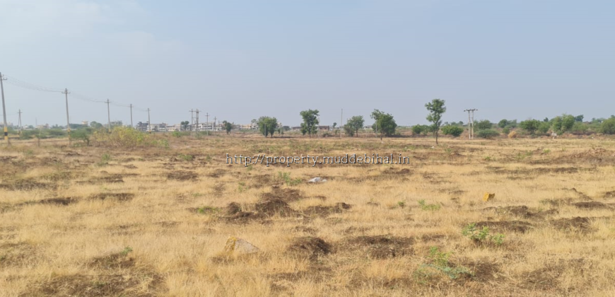 Residential plots for sale in VidyaNagar Muddebihal