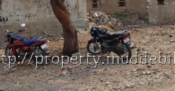 Site for Rent in muddebihal